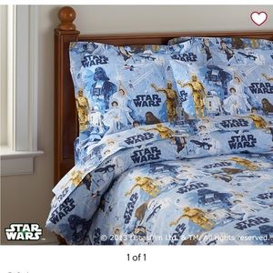 Pottery barn teen organic cotton duvet with  with sham  2 available in “twin”